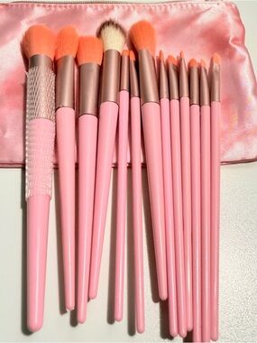 Set of 13 makeup brushes and bag NEW